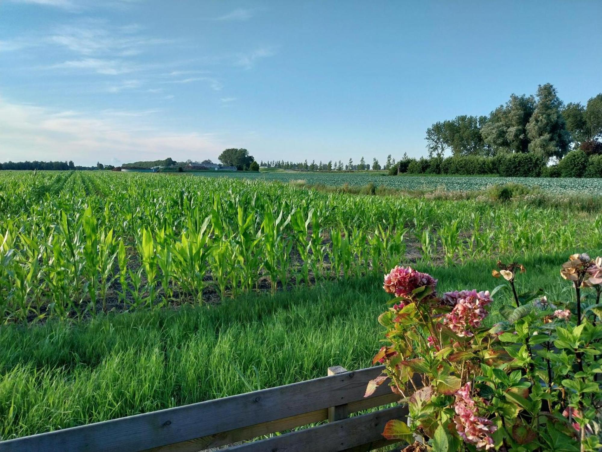 Vakantiewoning Hem Buitenkant foto